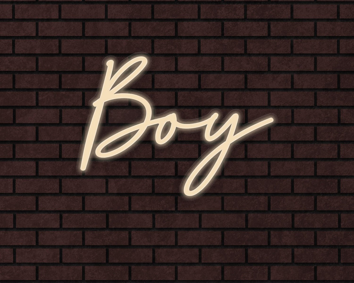 Boy Neon Sign