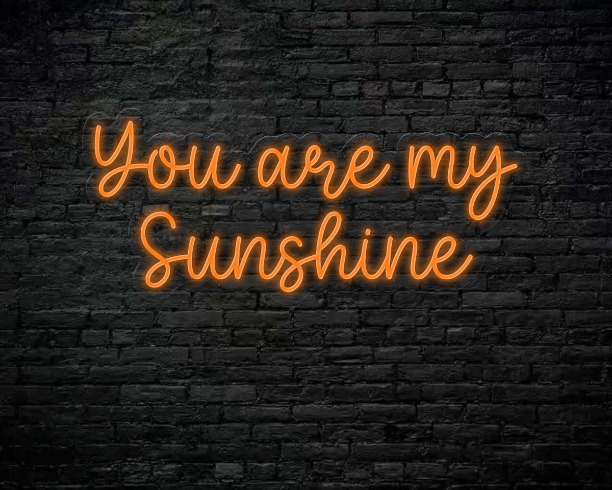 You  are my sunshine Neon Sign