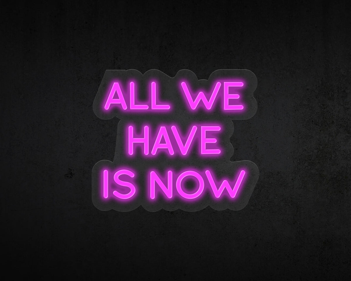 All We Have Is Now Neon Sign